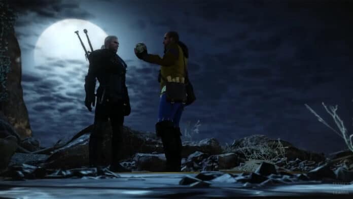 The WItcher 3 Geralt vs Master Mirror
